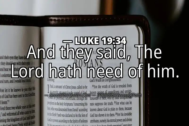 LUKE 19:34 Verse