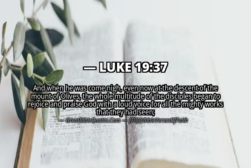 LUKE 19:37 Verse