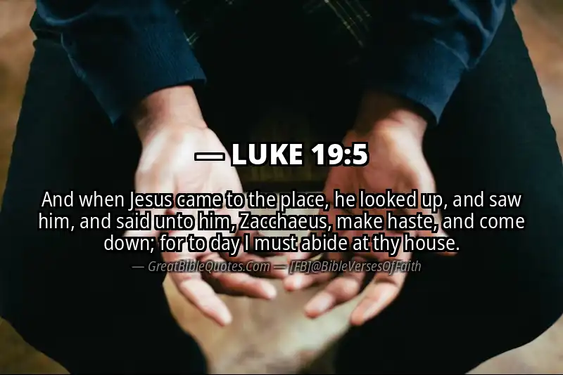 LUKE 19:5 Verse