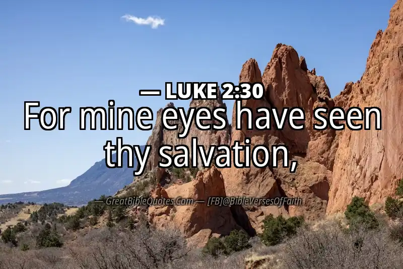 LUKE 2:30 Verse