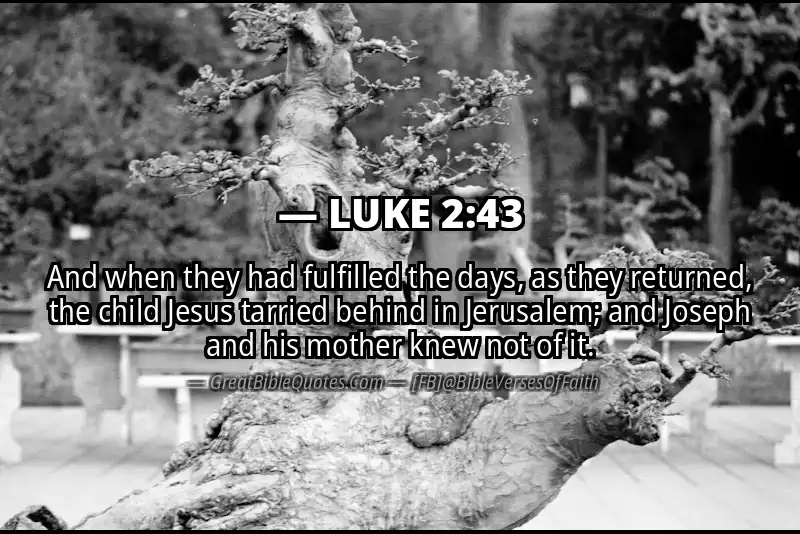 LUKE 2:43 Verse