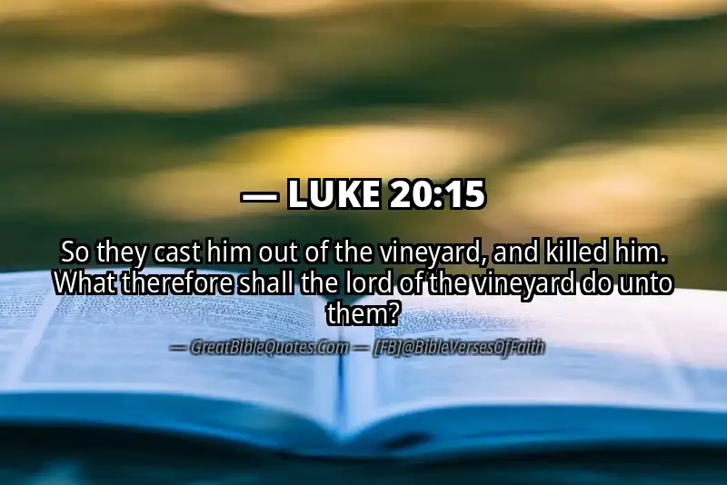 LUKE 20:15 Verse