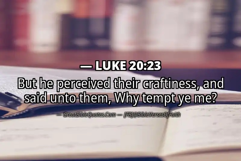 LUKE 20:23 Verse