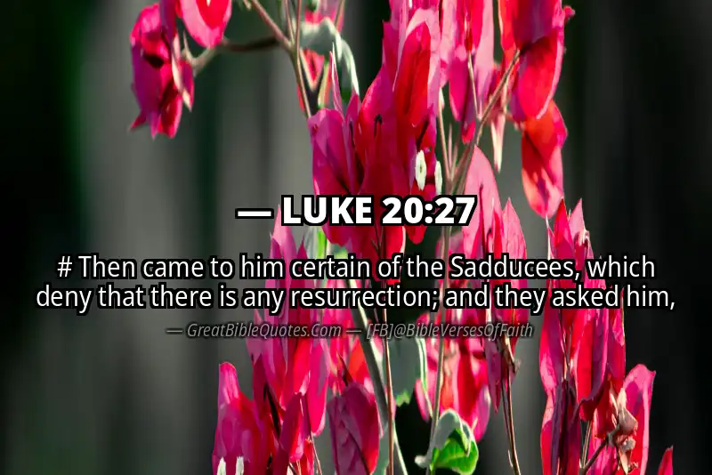LUKE 20:27 Verse