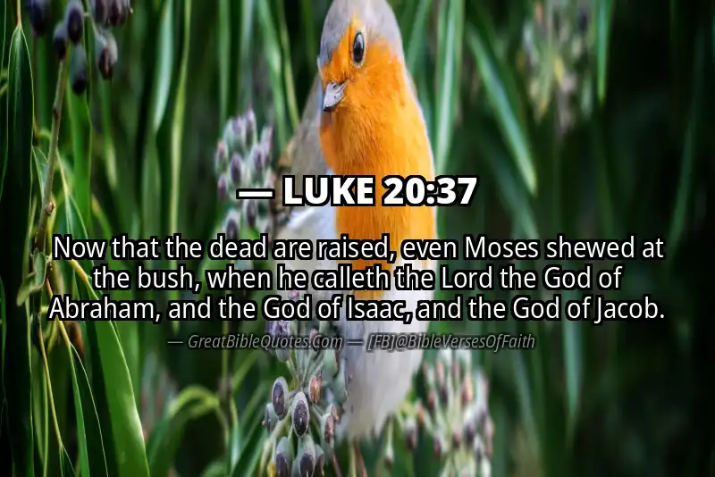 LUKE 20:37 Verse