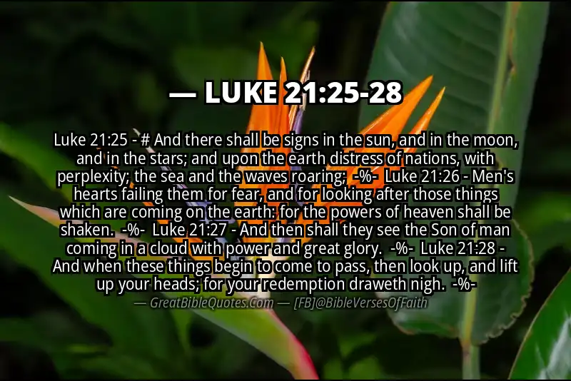 Image for LUKE 21:25-28 Bible verse