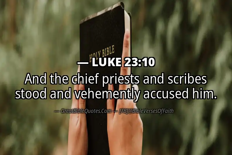 LUKE 23:10 Verse