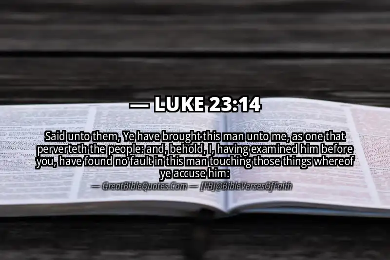 LUKE 23:14 Verse