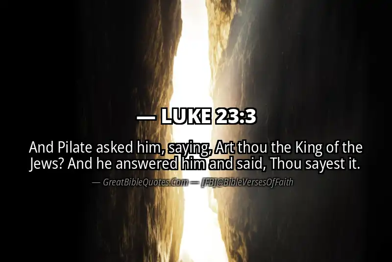 LUKE 23:3 Verse