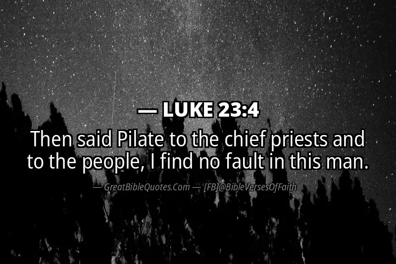LUKE 23:4 Verse