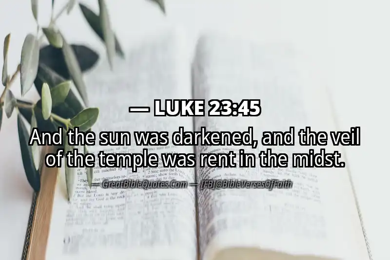 LUKE 23:45 Verse