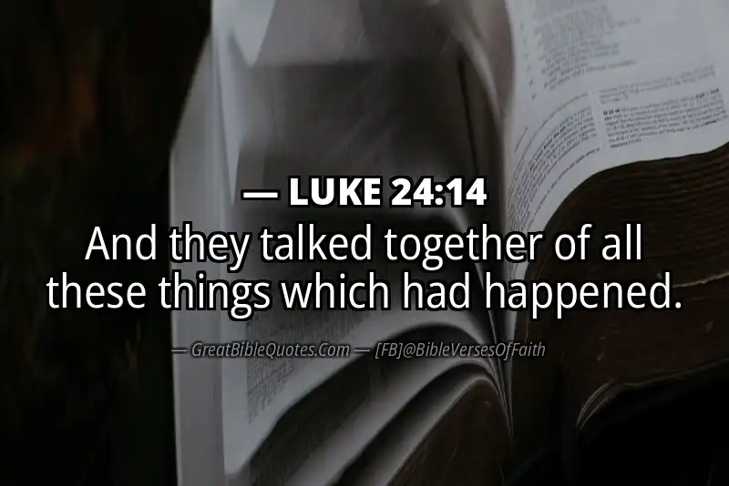 LUKE 24:14 Verse