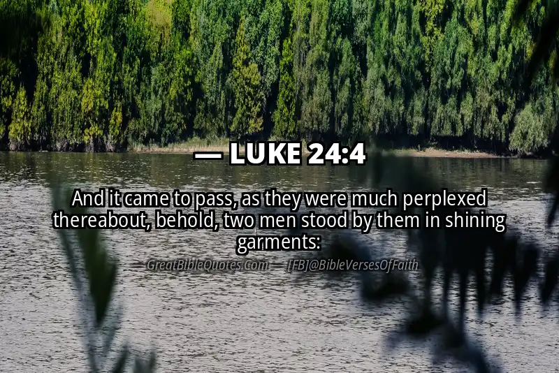 LUKE 24:4 Verse