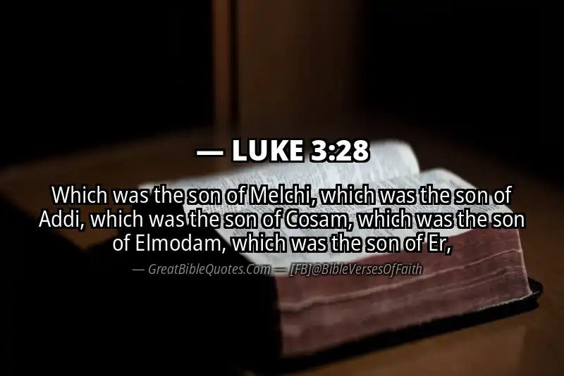 LUKE 3:28 Verse