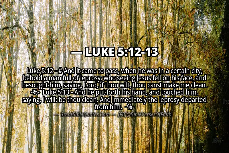 Image for LUKE 5:12-13 Bible verse