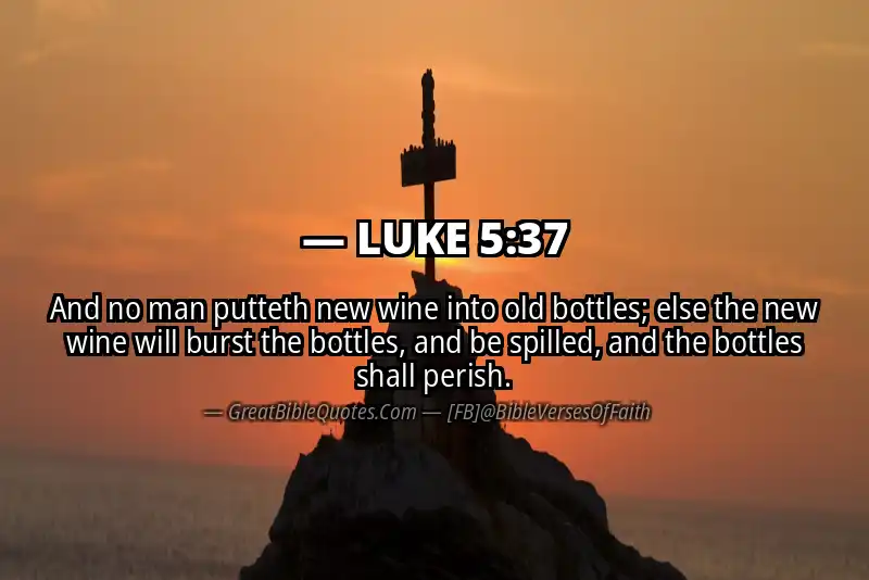 LUKE 5:37 Verse
