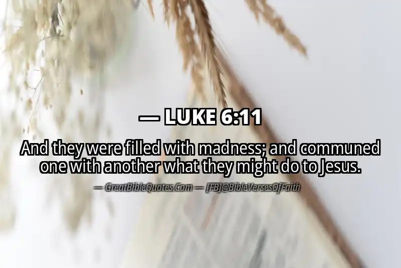LUKE 6:11 Verse