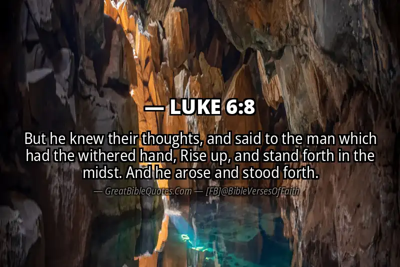 LUKE 6:8 Verse