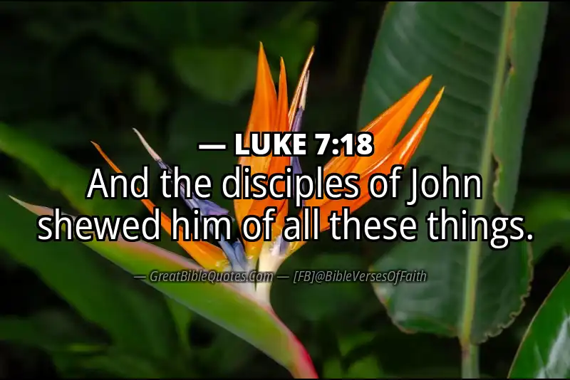 LUKE 7:18 Verse