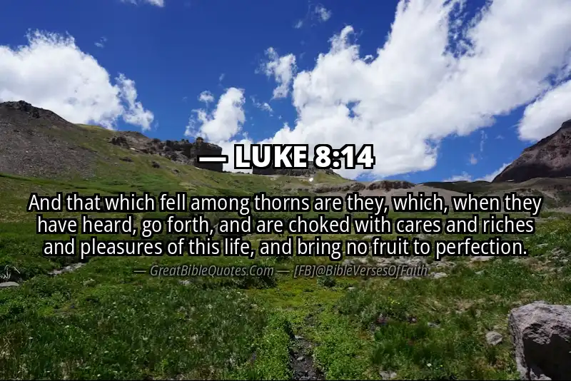 LUKE 8:14 Verse