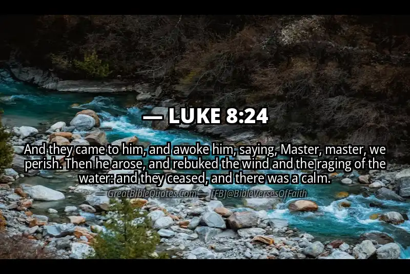 LUKE 8:24 Verse