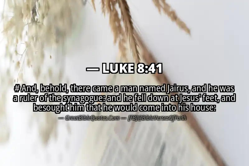 LUKE 8:41 Verse