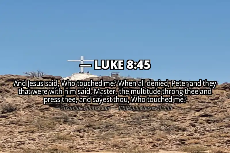 LUKE 8:45 Verse