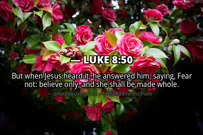 Image for LUKE 8:50 Bible verse