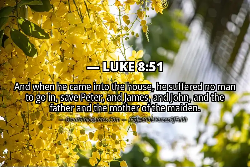 LUKE 8:51 Verse