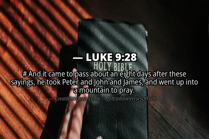 LUKE 9:28 Verse