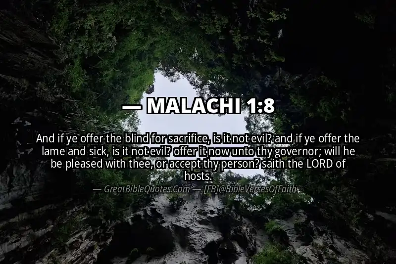 Bible verse: MALACHI 1:8 Image
