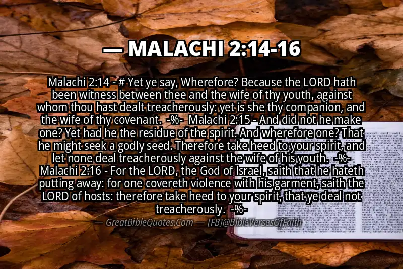 Image for MALACHI 2:14-16 Bible verse