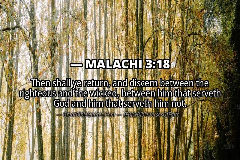 MALACHI 3:18 Verse