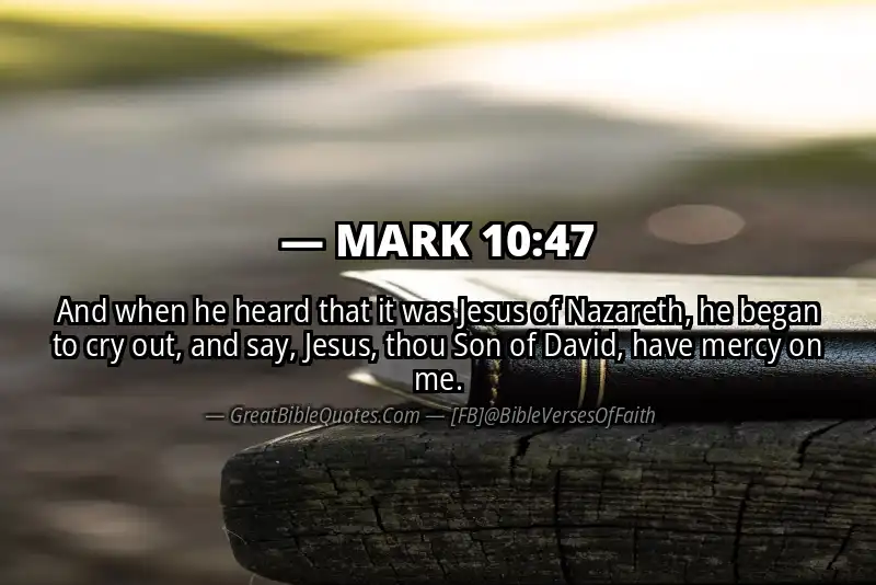 MARK 10:47 Verse Image