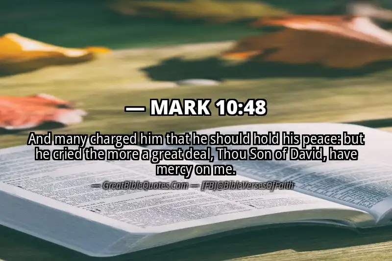 MARK 10:48 Verse Image