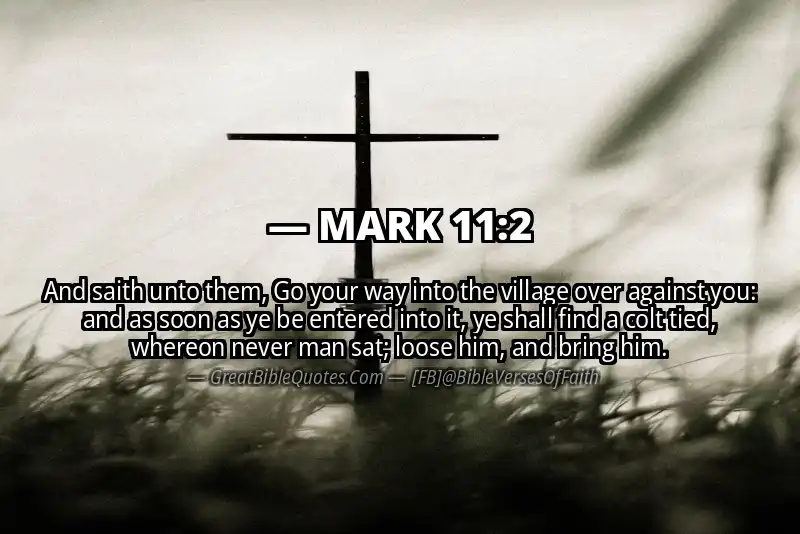 MARK 11:2 Verse