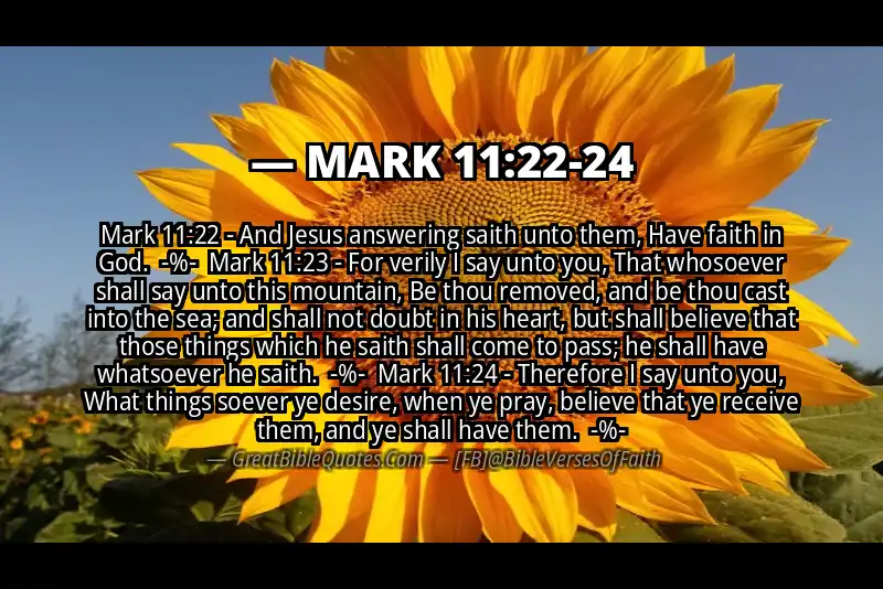 Image for MARK 11:22-24 Bible verse