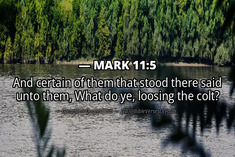 MARK 11:5 Verse