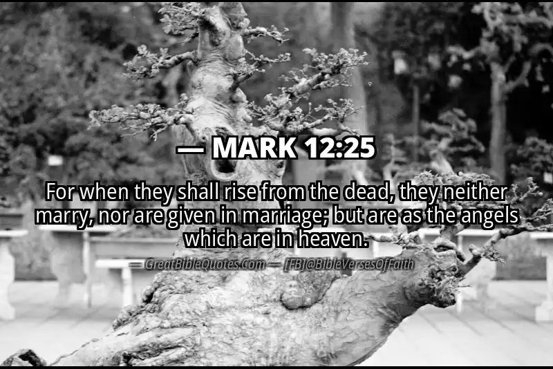 MARK 12:25 Verse
