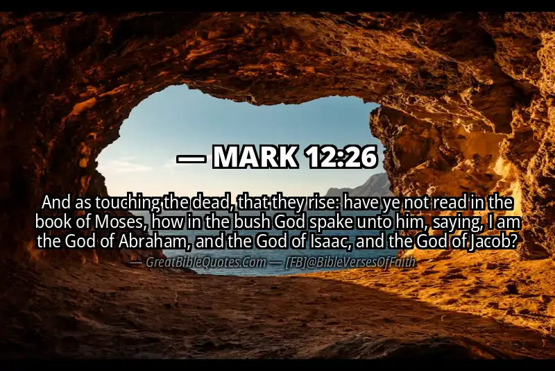 MARK 12:26 Verse