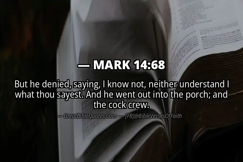 MARK 14:68 Verse