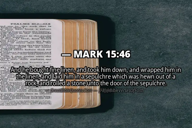 MARK 15:46 Verse