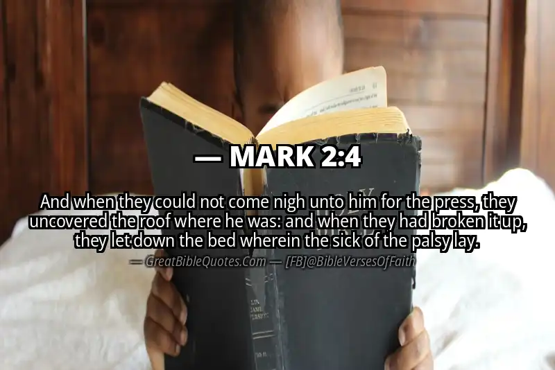 Bible verse: MARK 2:4 Image
