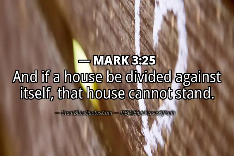MARK 3:25 Verse Image