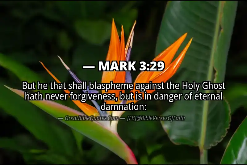 MARK 3:29 Verse