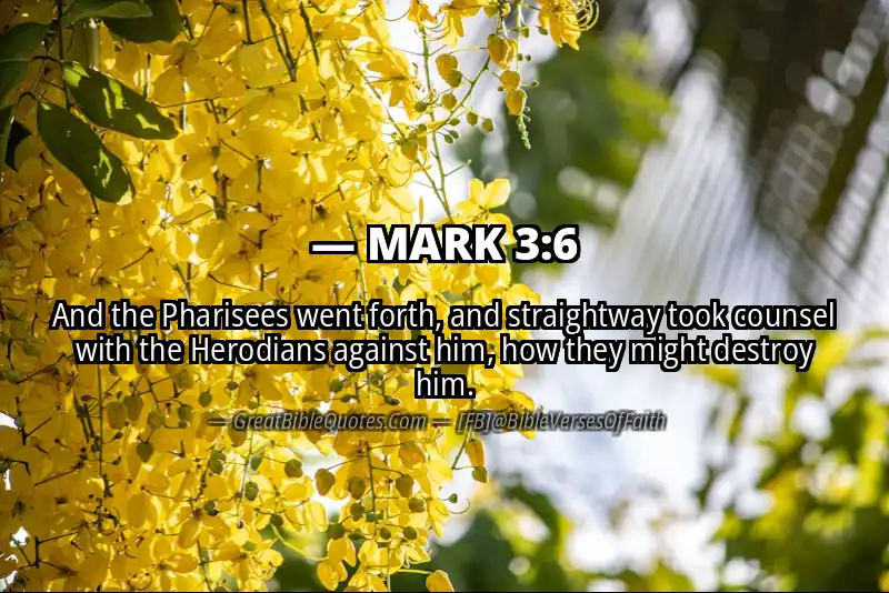 MARK 3:6 Verse