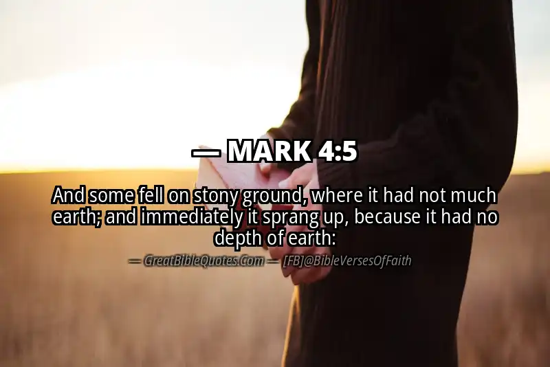 MARK 4:5 Verse