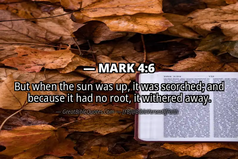 MARK 4:6 Verse