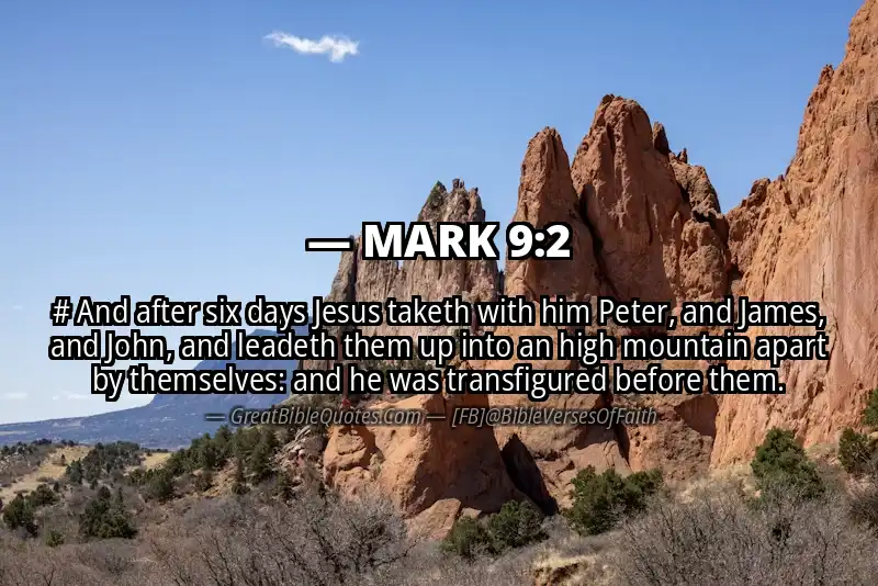 MARK 9:2 Verse