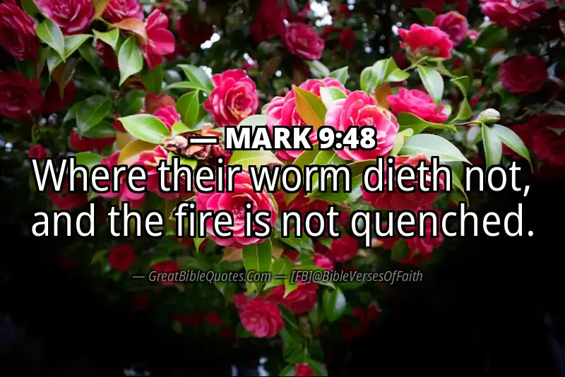 MARK 9:48 Verse